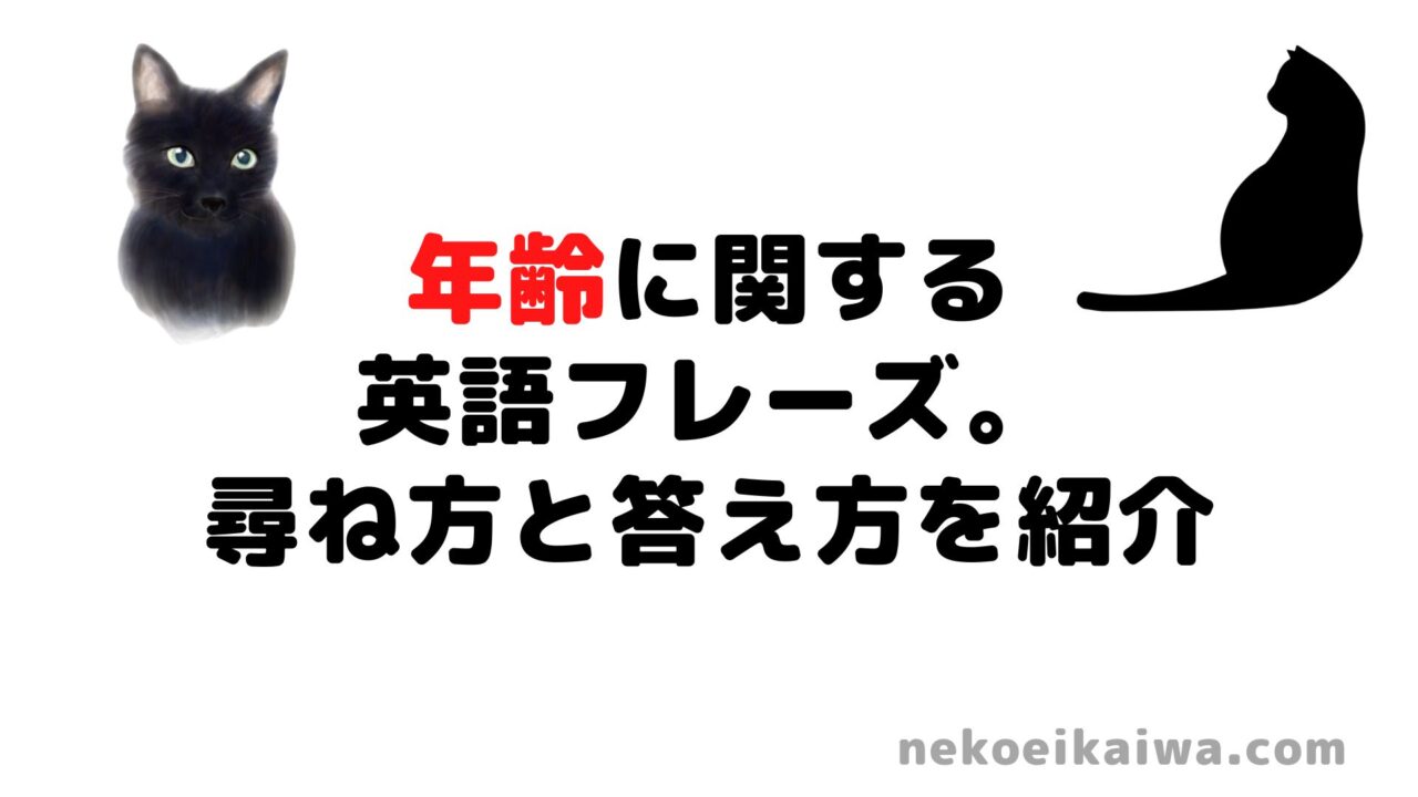 年齢に関する英語フレーズ 尋ね方と答え方を紹介 自己紹介と雑談 ねこ英会話 ねこ英会話