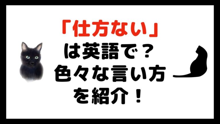 「仕方ない」「しょうがない」は英語で?【まとめ】|ねこ英会話
