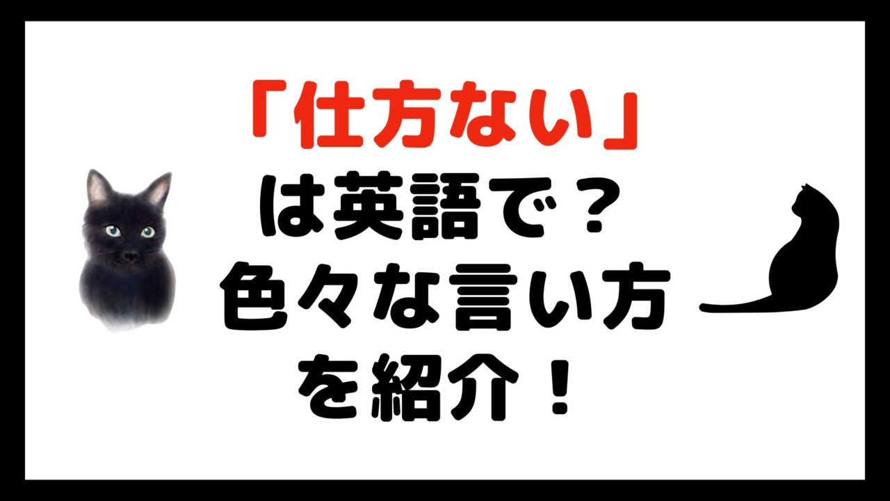 「仕方ない」「しょうがない」は英語で?【まとめ】|ねこ英会話